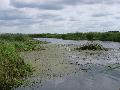 łodzie pychowe